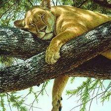 Схема вышивки «№1425910»