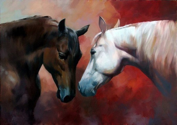 Лошади - пара лошадей, кони, лошади, пара животных. пара - оригинал