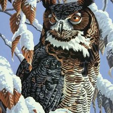 Схема вышивки «Сова зимой»