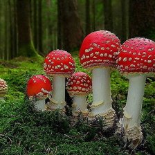 Схема вышивки «дружная семейка»