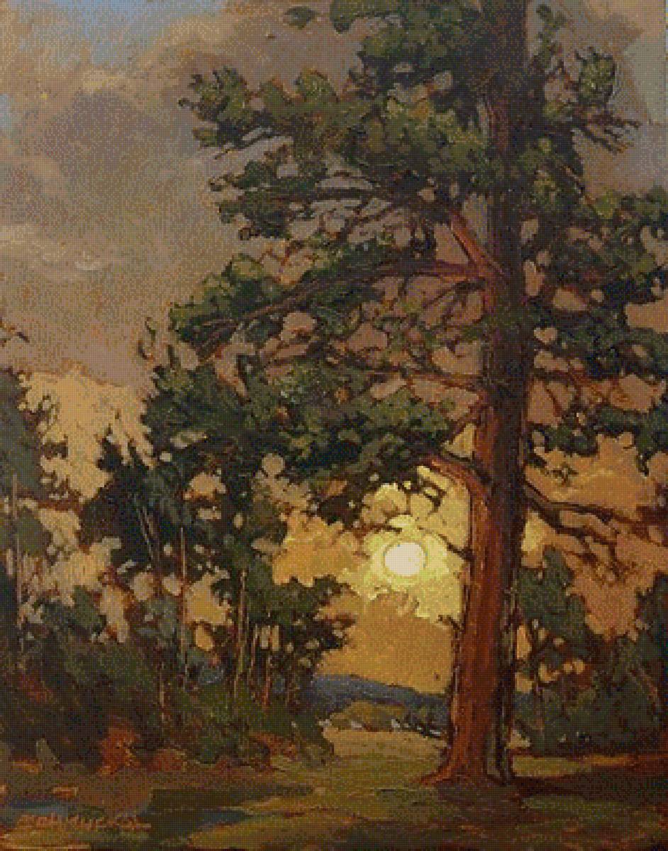 вечернее солнце - 2 - солнце, дуб, закат, вечер - предпросмотр