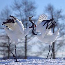 Схема вышивки «танец любви»