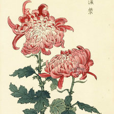 Схема вышивки «ретро  хризантемы»