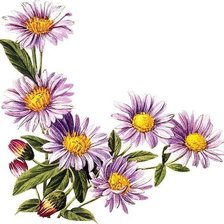 Схема вышивки «ретро»