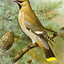 Схема вышивки «Свиристель»