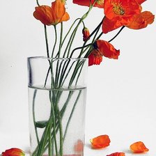 Схема вышивки «маки в вазе или алое на белом»