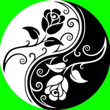 Схема вышивки «инь янь розы»