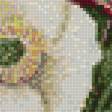 Предпросмотр схемы вышивки «Маки» (№1428214)