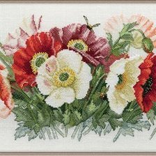 Схема вышивки «Маки»