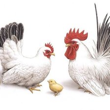 Схема вышивки «№1428320»