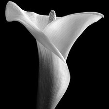 Схема вышивки «№1428332»