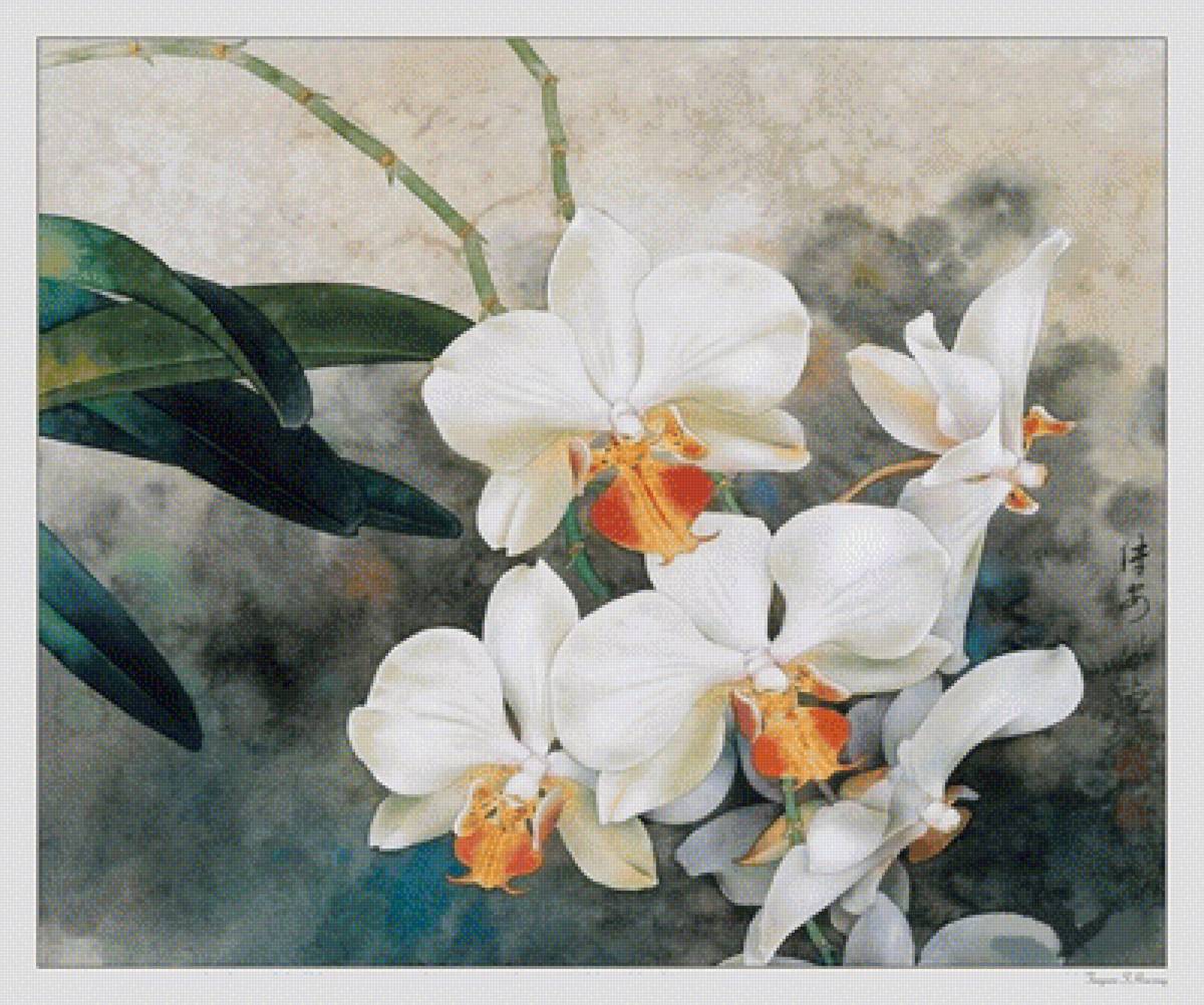 №1428439 - предпросмотр