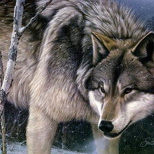 Схема вышивки «Волк»