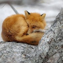 Схема вышивки «№1428765»