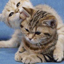 Схема вышивки «котята»