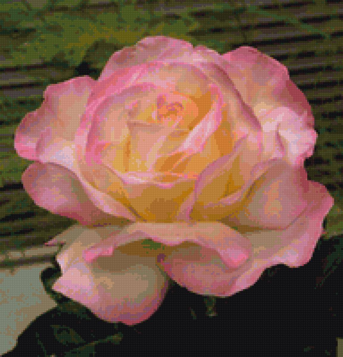 №1428944 - предпросмотр