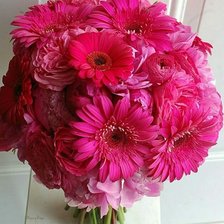 Схема вышивки «№1428951»