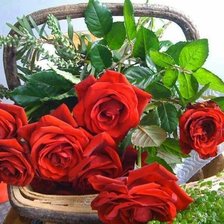 Схема вышивки «№1428954»