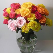 Схема вышивки «№1428957»