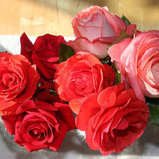 Схема вышивки «№1428959»