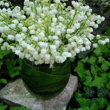 Схема вышивки «№1428976»