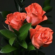 Схема вышивки «№1428981»