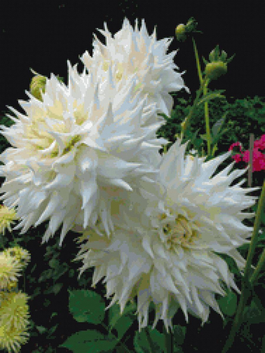 №1428982 - предпросмотр