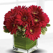 Схема вышивки «№1429008»