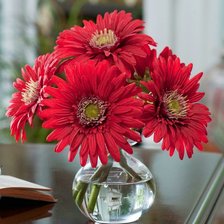 Схема вышивки «№1429016»