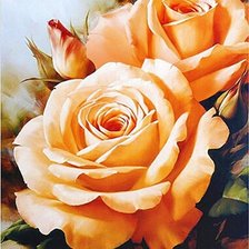 Схема вышивки «Роза»