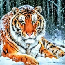 Схема вышивки «тигр на природе»