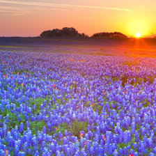 Схема вышивки «Закат»