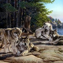 Схема вышивки «Волки»