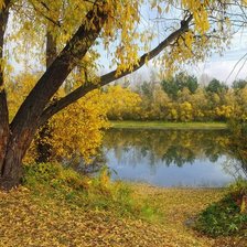 Схема вышивки «Осень»