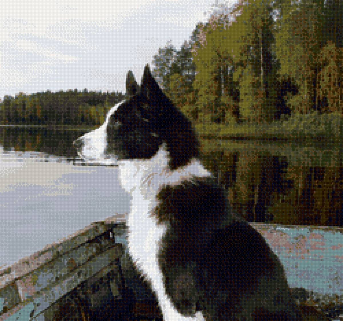 Любимый пес - предпросмотр