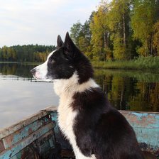 Схема вышивки «Любимый пес»