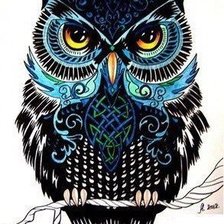 Схема вышивки «Сова»