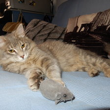 Схема вышивки «ДЫМОК»