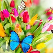 Схема вышивки «тюльпаны»