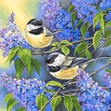 Схема вышивки «синички на сирени»