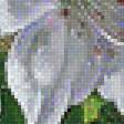 Предпросмотр схемы вышивки «№1430443»