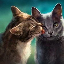 Схема вышивки «котэ,»