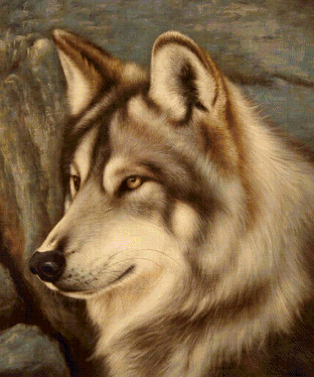 Волк - волк, дикие животные - предпросмотр