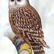 Схема вышивки «№1431743»