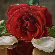 Схема вышивки «№1431747»