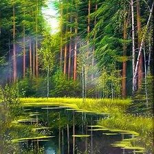 Схема вышивки «озеро в лесу»