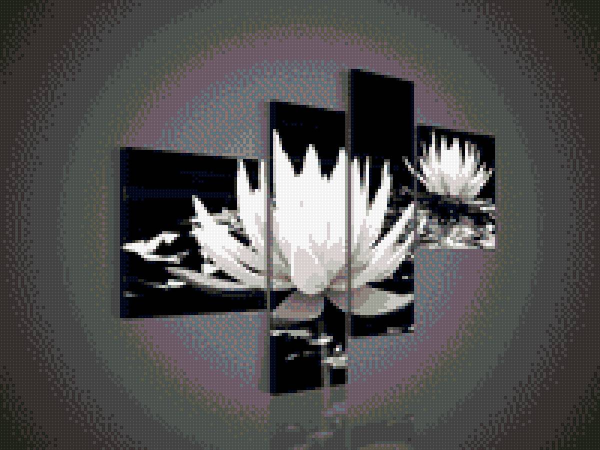 Лотос - цветы - предпросмотр