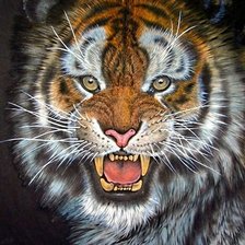 Схема вышивки «тигр»