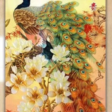 Схема вышивки «павлин»