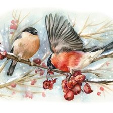 Схема вышивки «№1432832»